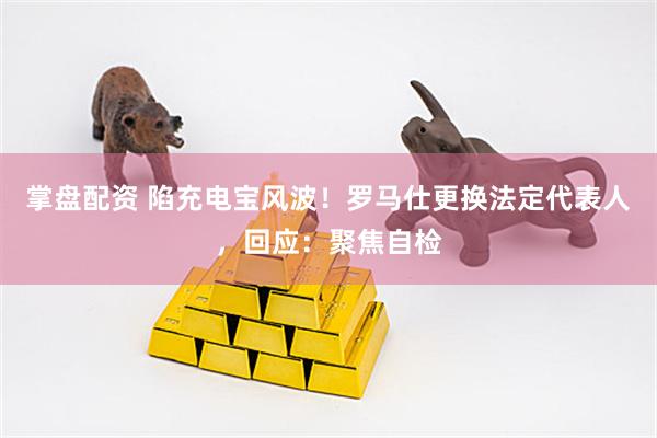 掌盘配资 陷充电宝风波！罗马仕更换法定代表人，回应：聚焦自检