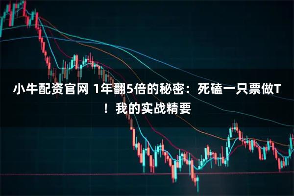 小牛配资官网 1年翻5倍的秘密：死磕一只票做T！我的实战精要