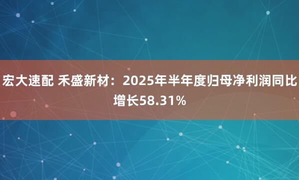 宏大速配 禾盛新材：2025年半年度归母净利润同比增长58.31%