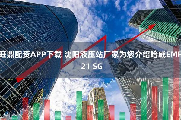 旺鼎配资APP下载 沈阳液压站厂家为您介绍哈威EMP 21 SG