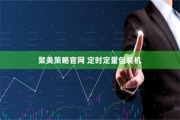 聚美策略官网 定时定量包装机