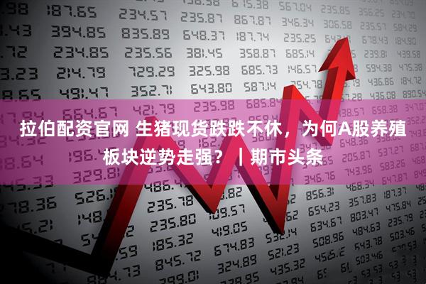 拉伯配资官网 生猪现货跌跌不休，为何A股养殖板块逆势走强？｜期市头条