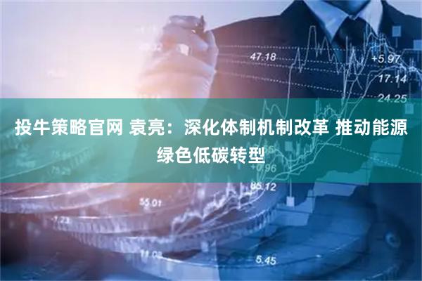 投牛策略官网 袁亮：深化体制机制改革 推动能源绿色低碳转型