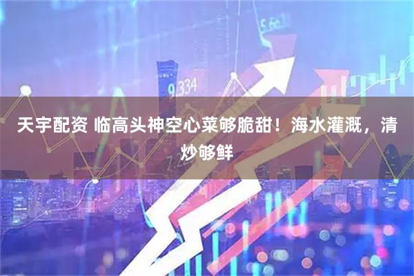 天宇配资 临高头神空心菜够脆甜！海水灌溉，清炒够鲜